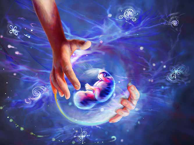 REBIRTH 2